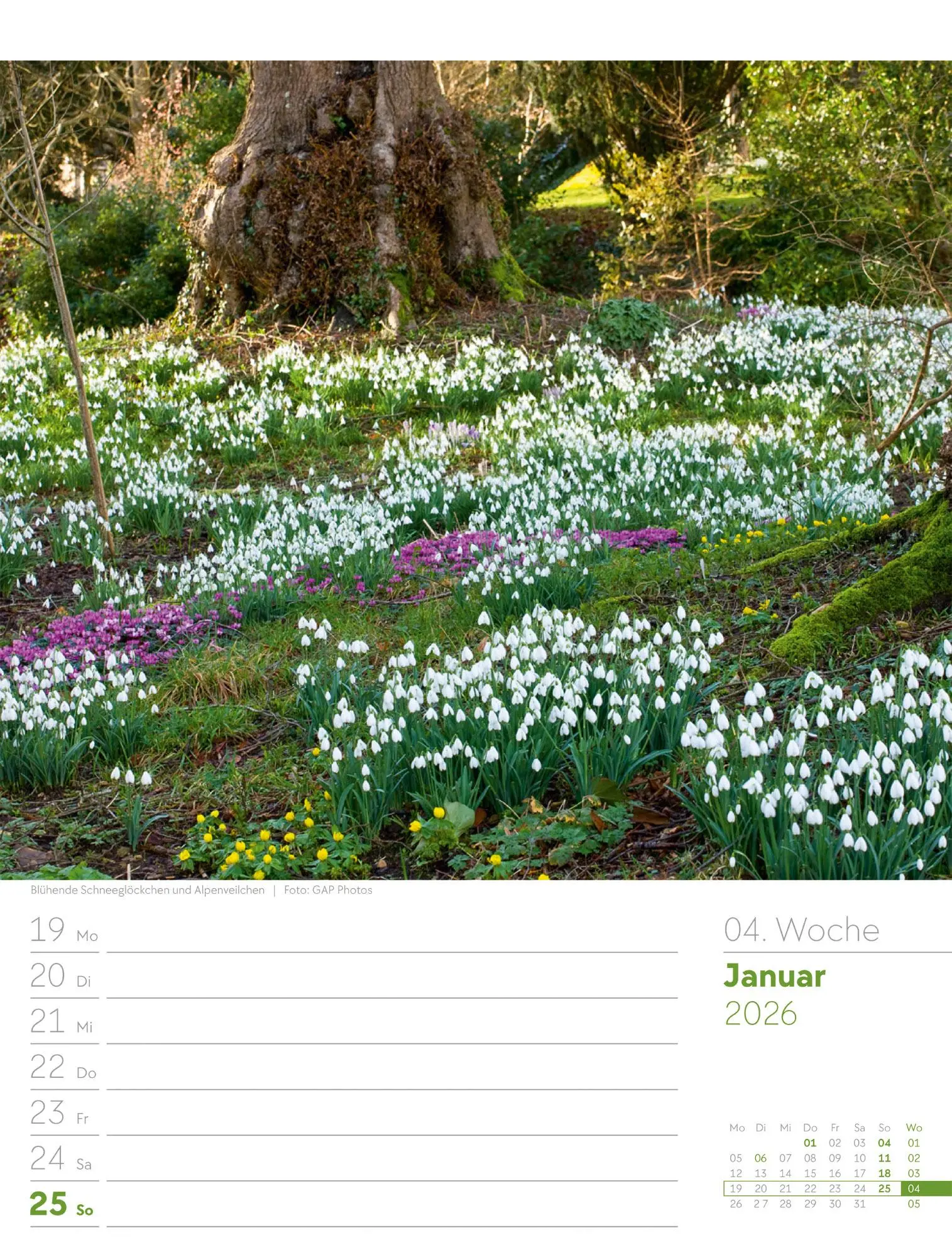 Bild: 9783838426990 | Gartenglück - Wochenplaner Kalender 2026 | Ackermann Kunstverlag GmbH