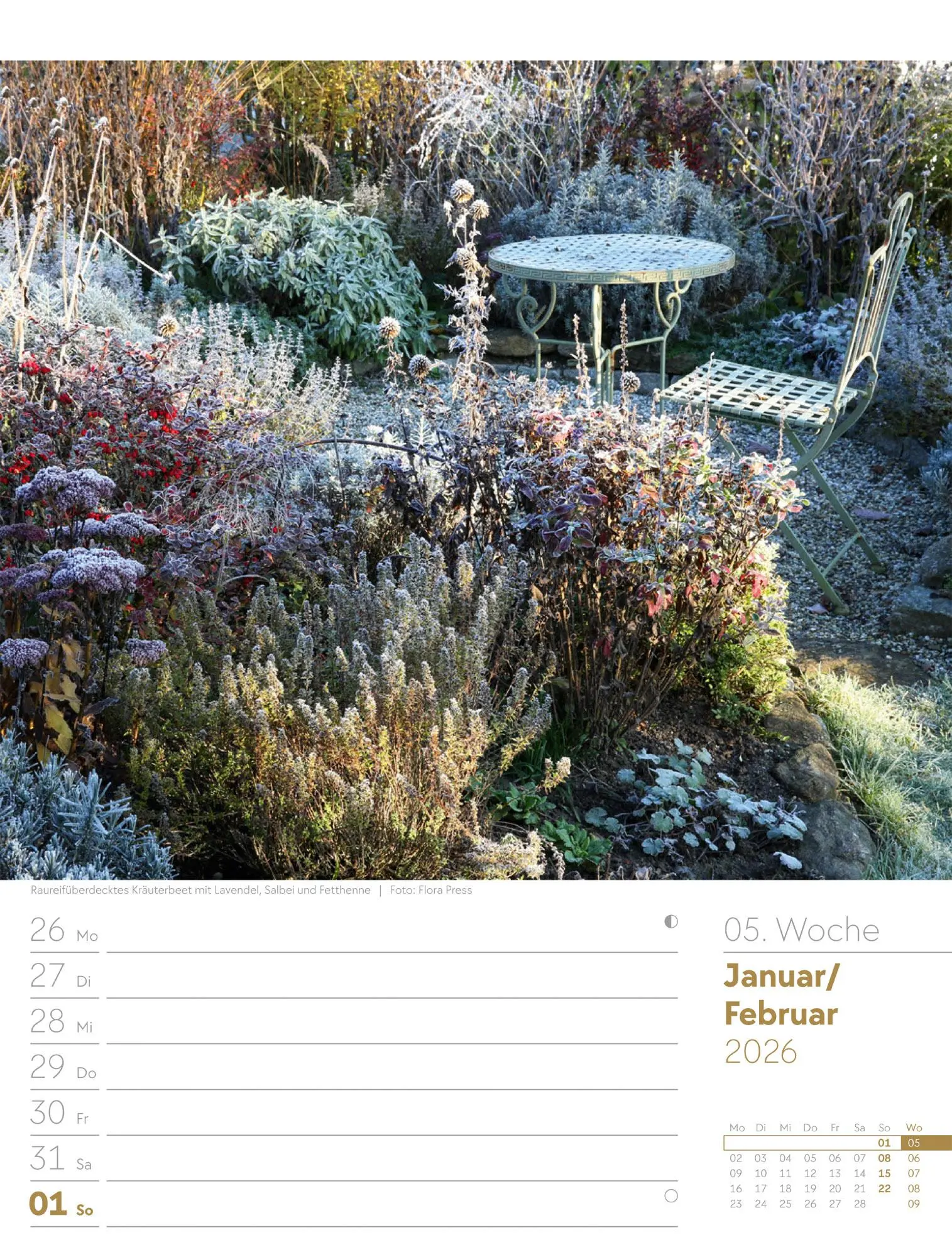 Bild: 9783838426990 | Gartenglück - Wochenplaner Kalender 2026 | Ackermann Kunstverlag GmbH