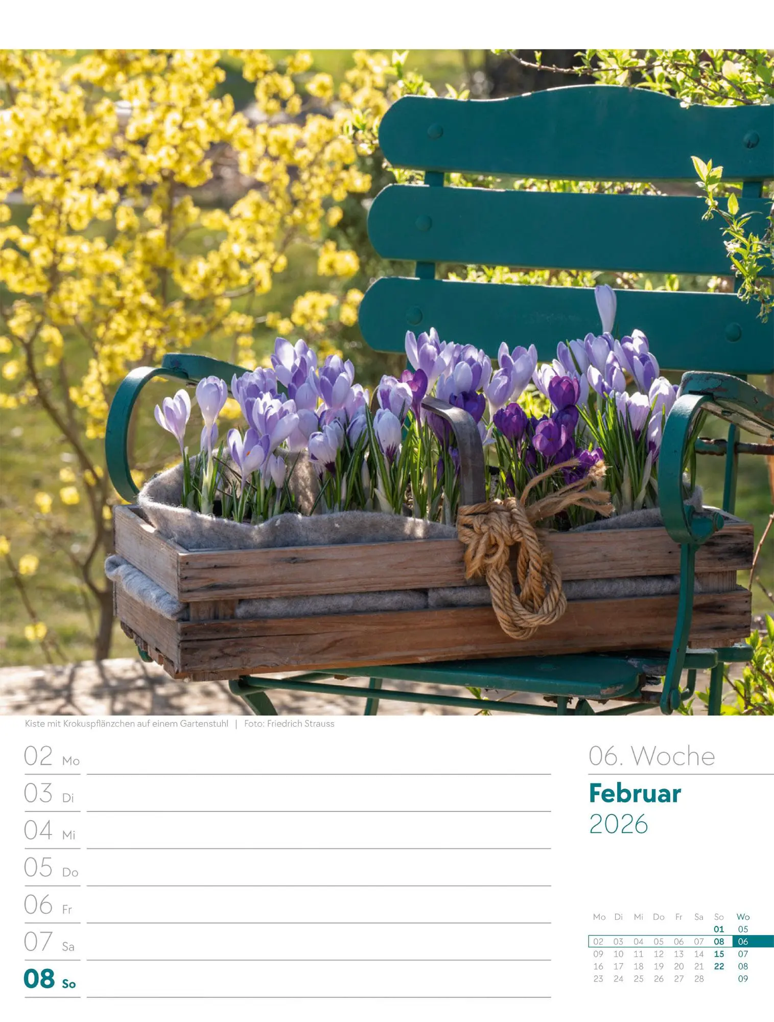 Bild: 9783838426990 | Gartenglück - Wochenplaner Kalender 2026 | Ackermann Kunstverlag GmbH