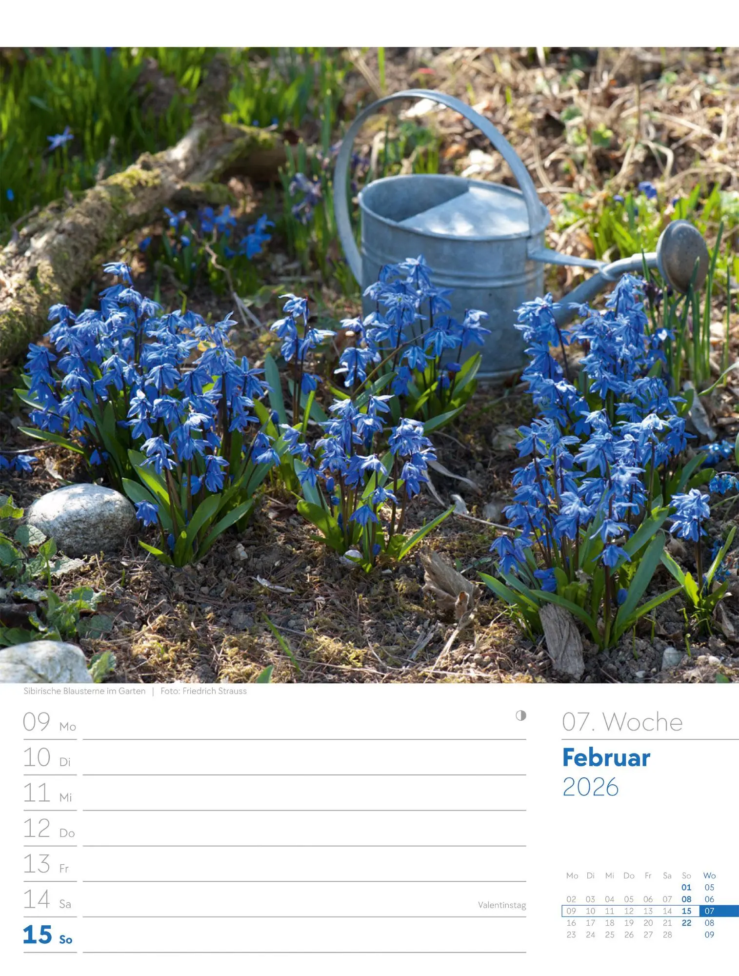 Bild: 9783838426990 | Gartenglück - Wochenplaner Kalender 2026 | Ackermann Kunstverlag GmbH