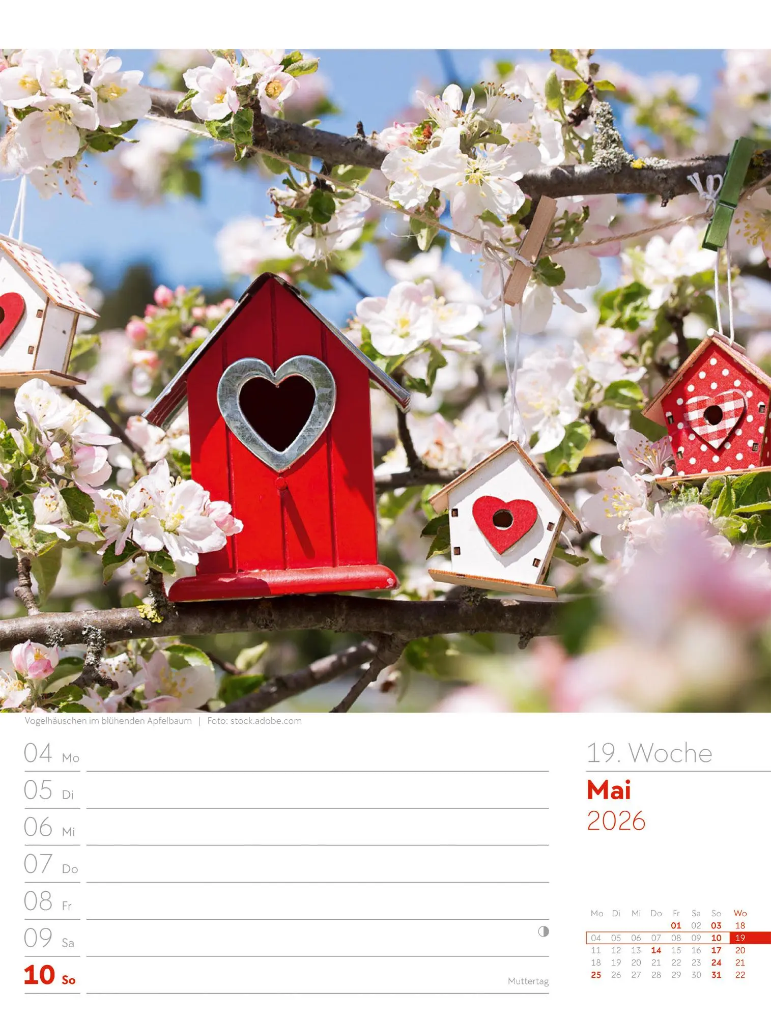 Bild: 9783838426990 | Gartenglück - Wochenplaner Kalender 2026 | Ackermann Kunstverlag GmbH