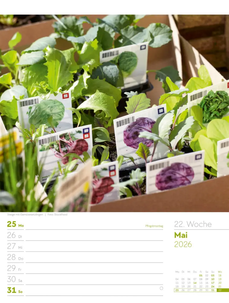 Bild: 9783838426990 | Gartenglück Wochenplaner Kalender 2026 | Ackermann Kunstverlag GmbH
