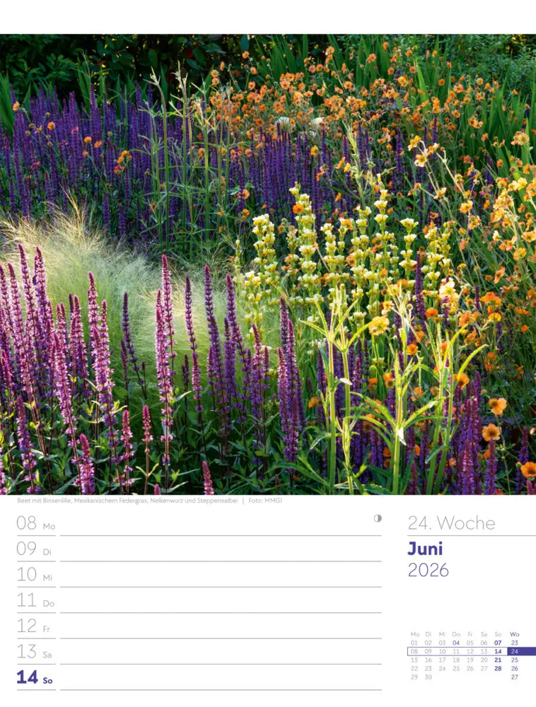 Bild: 9783838426990 | Gartenglück Wochenplaner Kalender 2026 | Ackermann Kunstverlag GmbH