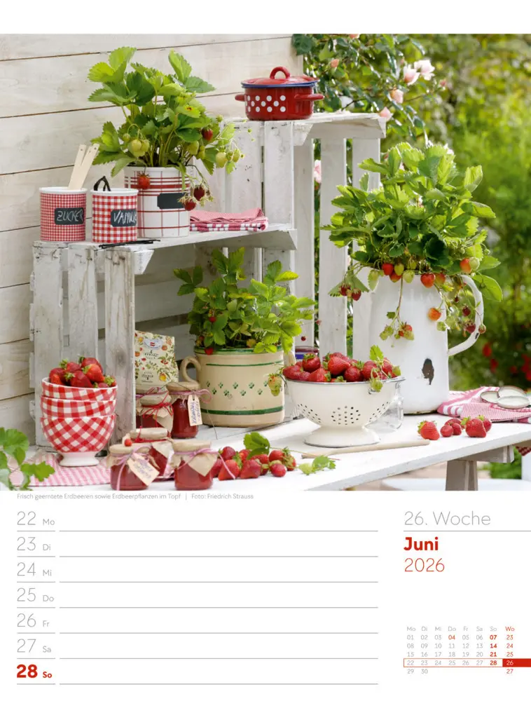 Bild: 9783838426990 | Gartenglück Wochenplaner Kalender 2026 | Ackermann Kunstverlag GmbH