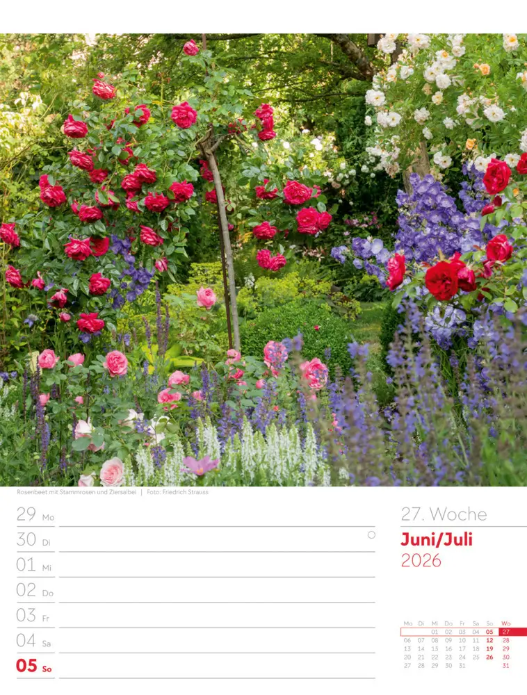 Bild: 9783838426990 | Gartenglück Wochenplaner Kalender 2026 | Ackermann Kunstverlag GmbH