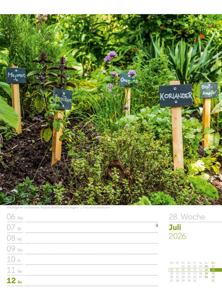 Bild: 9783838426990 | Gartenglück Wochenplaner Kalender 2026 | Ackermann Kunstverlag GmbH