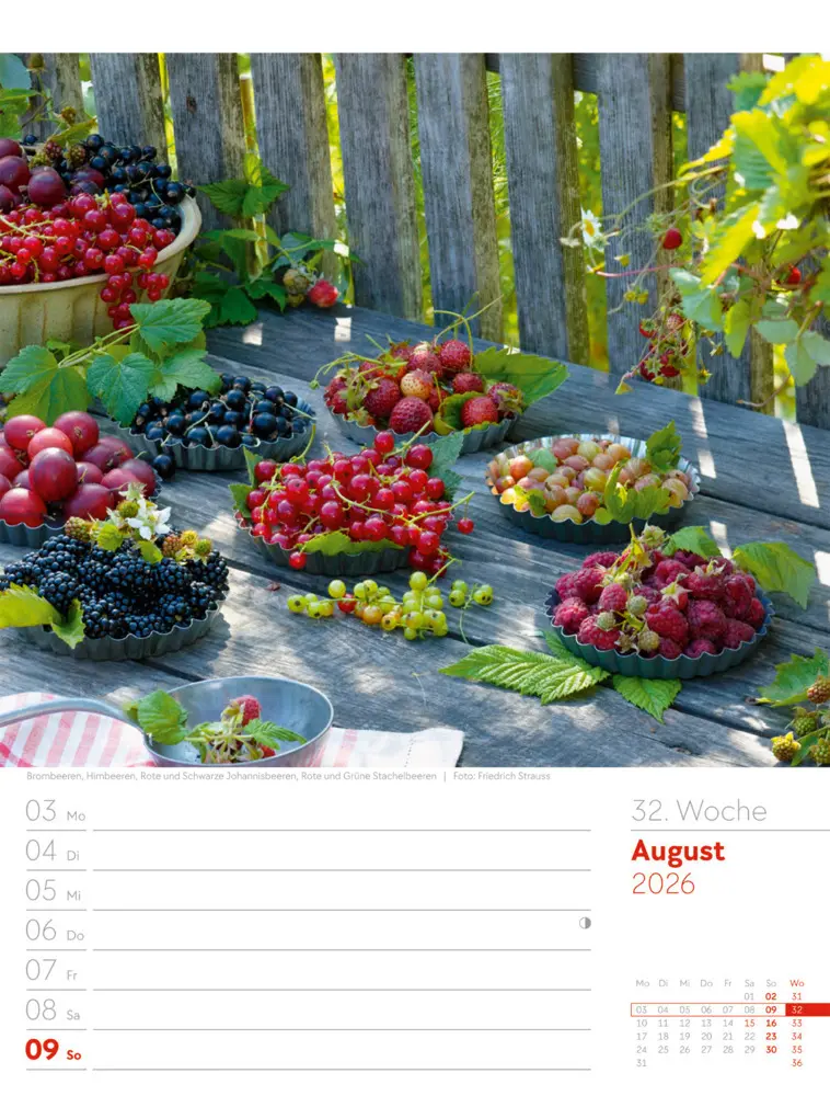 Bild: 9783838426990 | Gartenglück Wochenplaner Kalender 2026 | Ackermann Kunstverlag GmbH