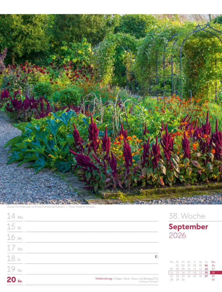 Bild: 9783838426990 | Gartenglück Wochenplaner Kalender 2026 | Ackermann Kunstverlag GmbH
