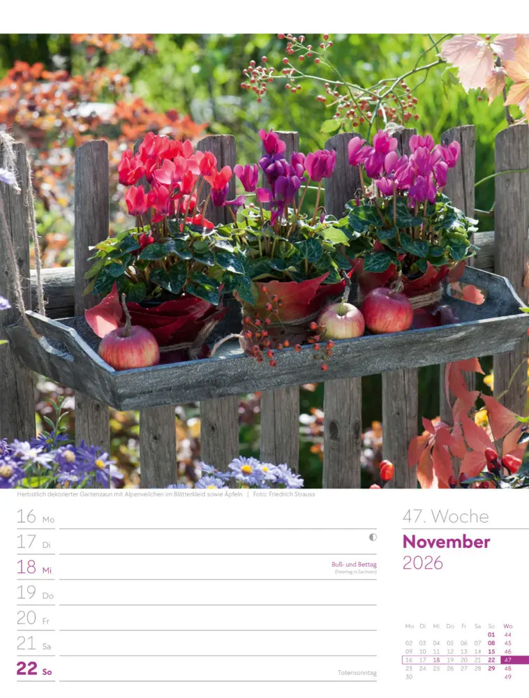Bild: 9783838426990 | Gartenglück Wochenplaner Kalender 2026 | Ackermann Kunstverlag GmbH