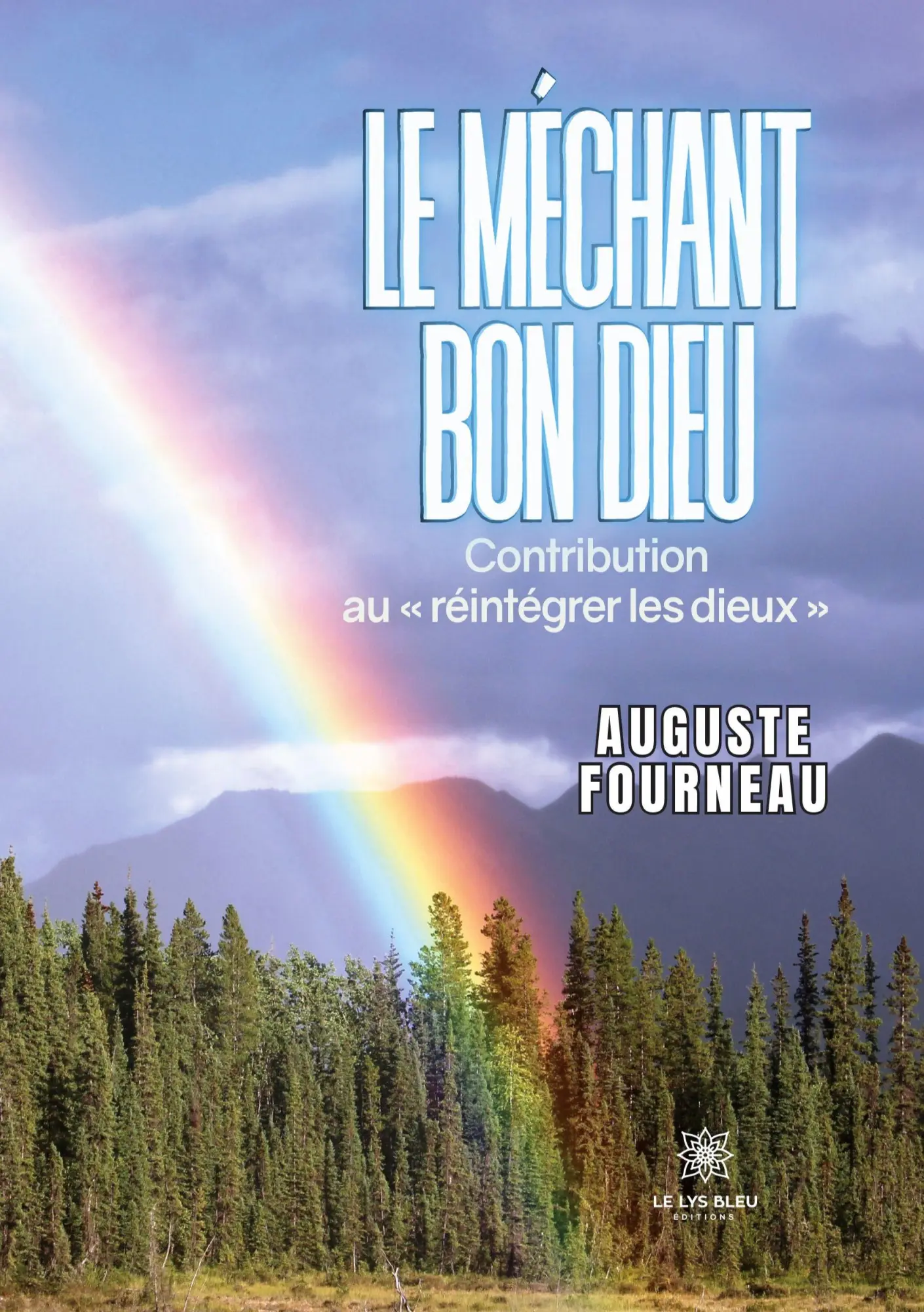 Cover: 9791042246990 | Le méchant bon Dieu | Contribution au ' réintégrer les dieux ' | Buch