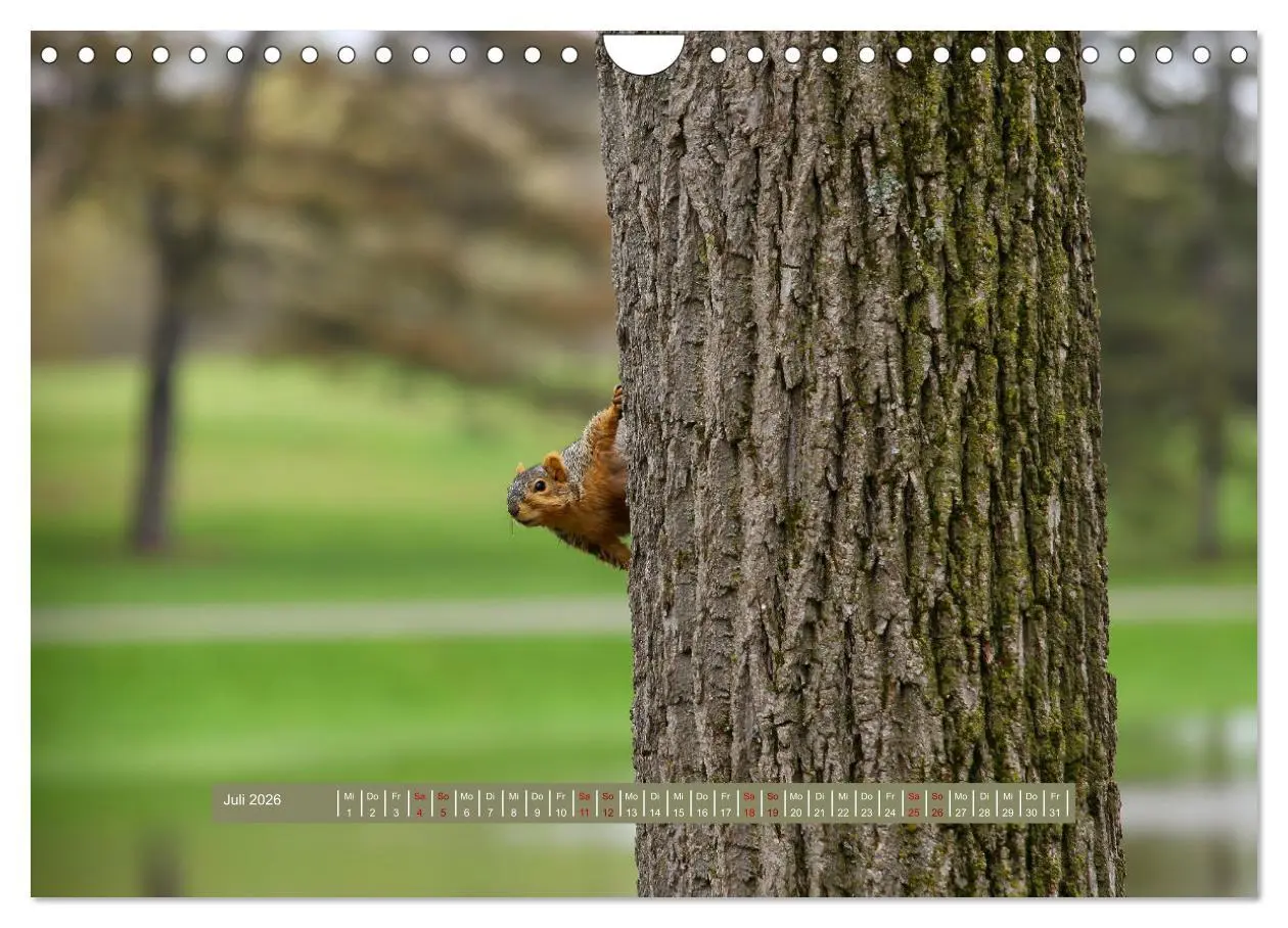 Bild: 9783457307090 | Michigan - Rund um Detroit (Wandkalender 2026 DIN A4 quer),...
