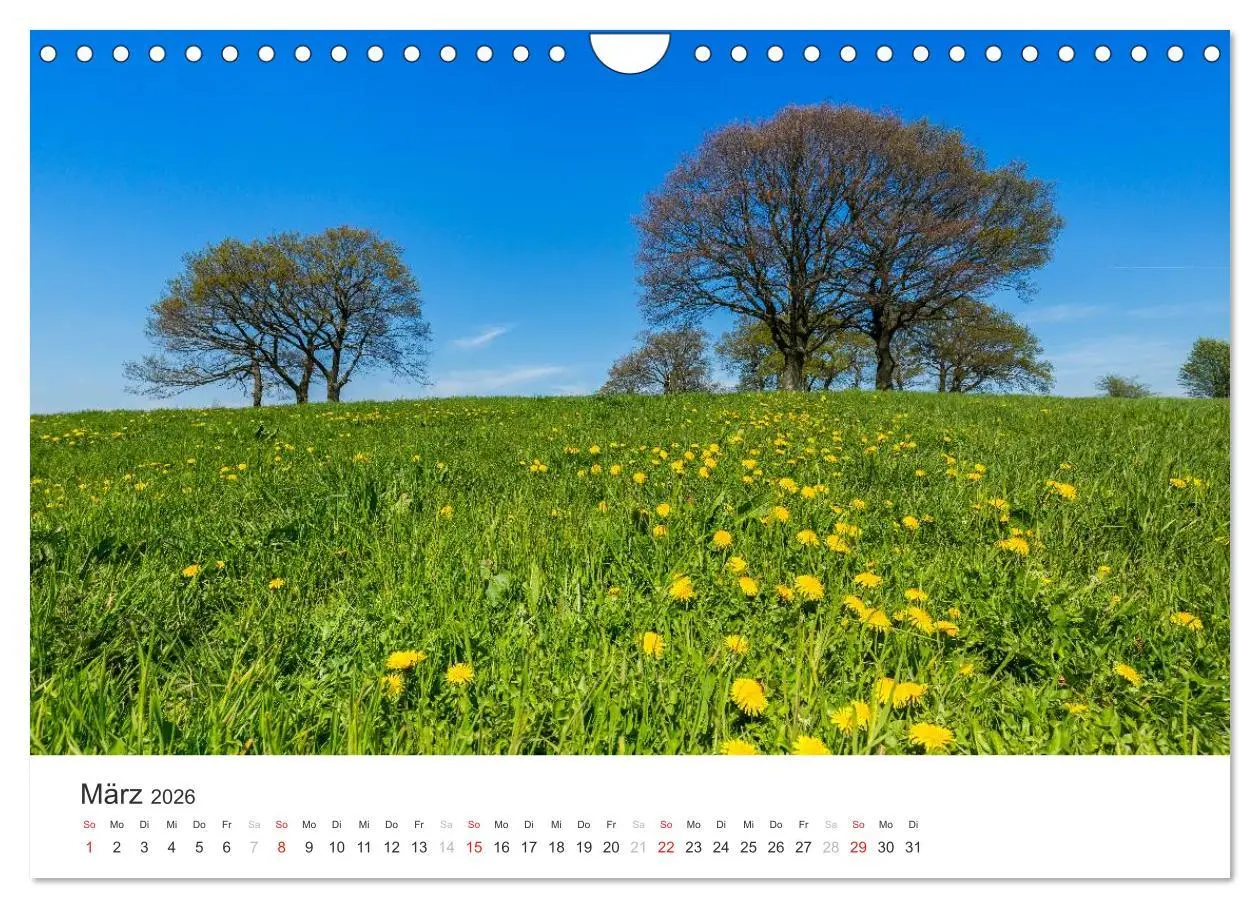 Bild: 9783516017090 | Blicke in die Eifel (Wandkalender 2026 DIN A4 quer), CALVENDO...