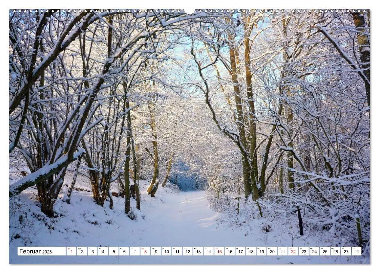 Bild: 9783516187090 | Traumhafte Wege durch die Eifel (Wandkalender 2026 DIN A2 quer),...
