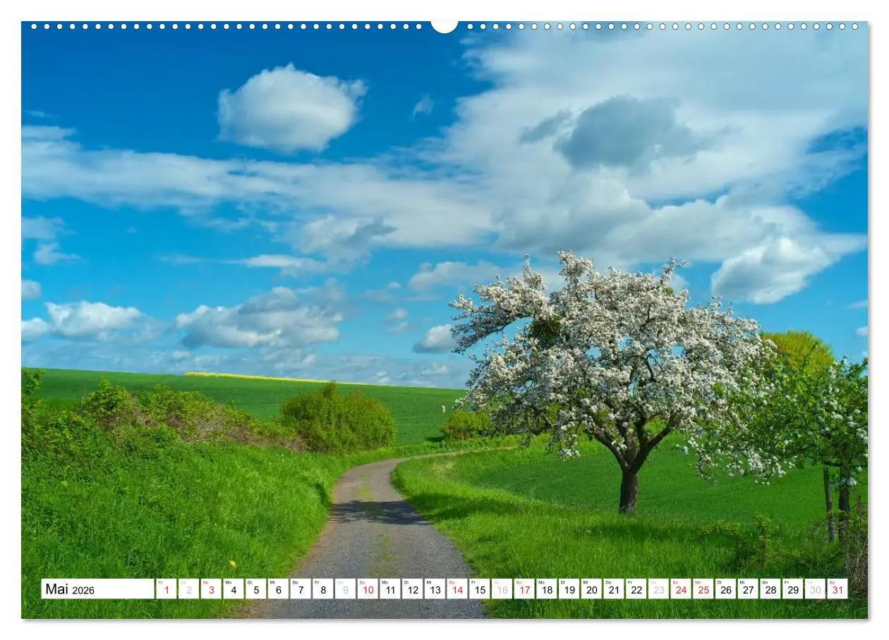 Bild: 9783516187090 | Traumhafte Wege durch die Eifel (Wandkalender 2026 DIN A2 quer),...