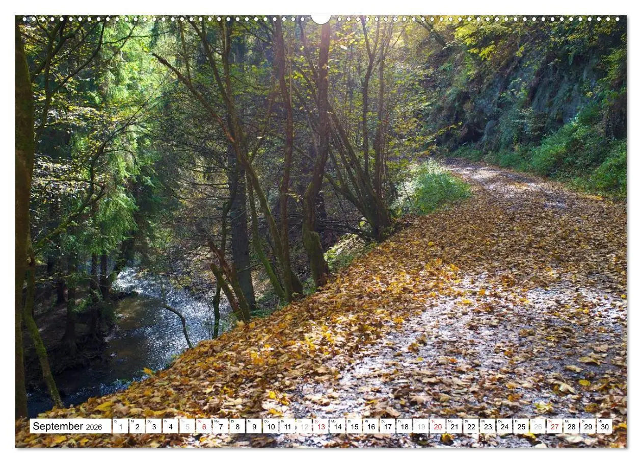 Bild: 9783516187090 | Traumhafte Wege durch die Eifel (Wandkalender 2026 DIN A2 quer),...