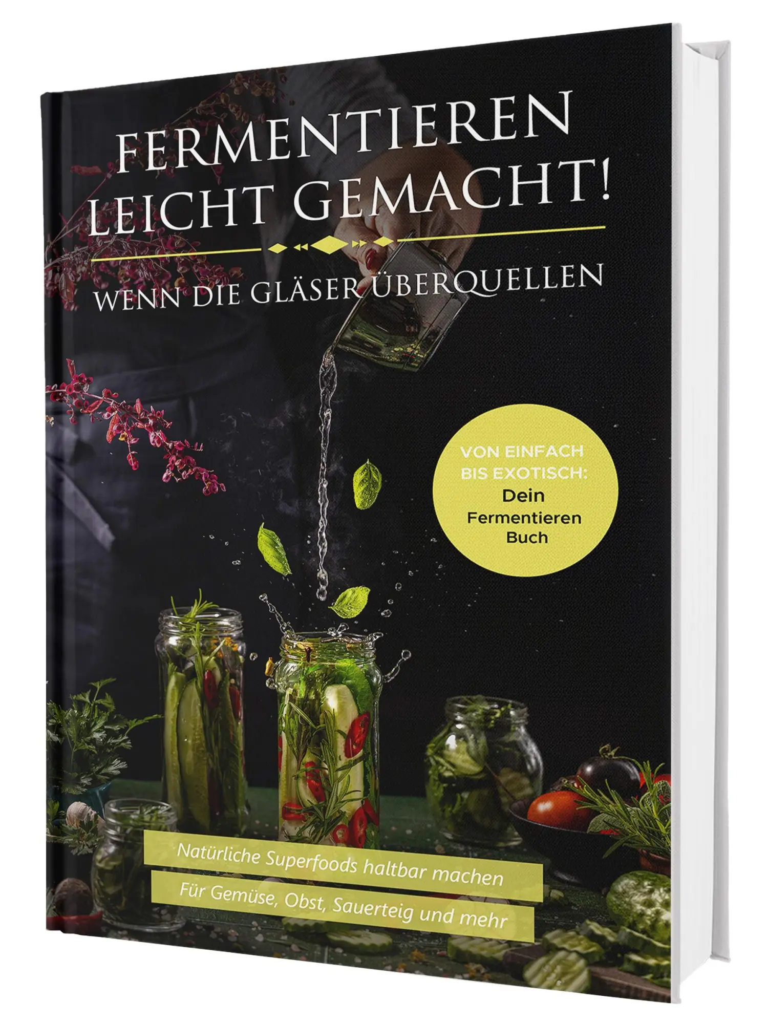 Cover: 9783911647090 | Fermentieren leicht gemacht! Wenn die Gläser überquellen - Von...