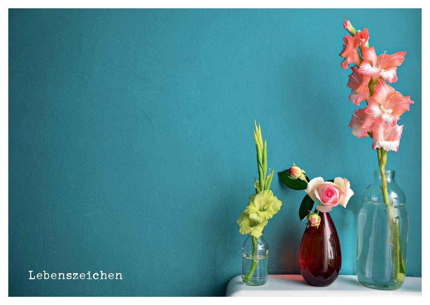 Bild: 4251693907190 | von Herzen - Postkartenbuch | Stephanie Brall | Taschenbuch | 20 S.