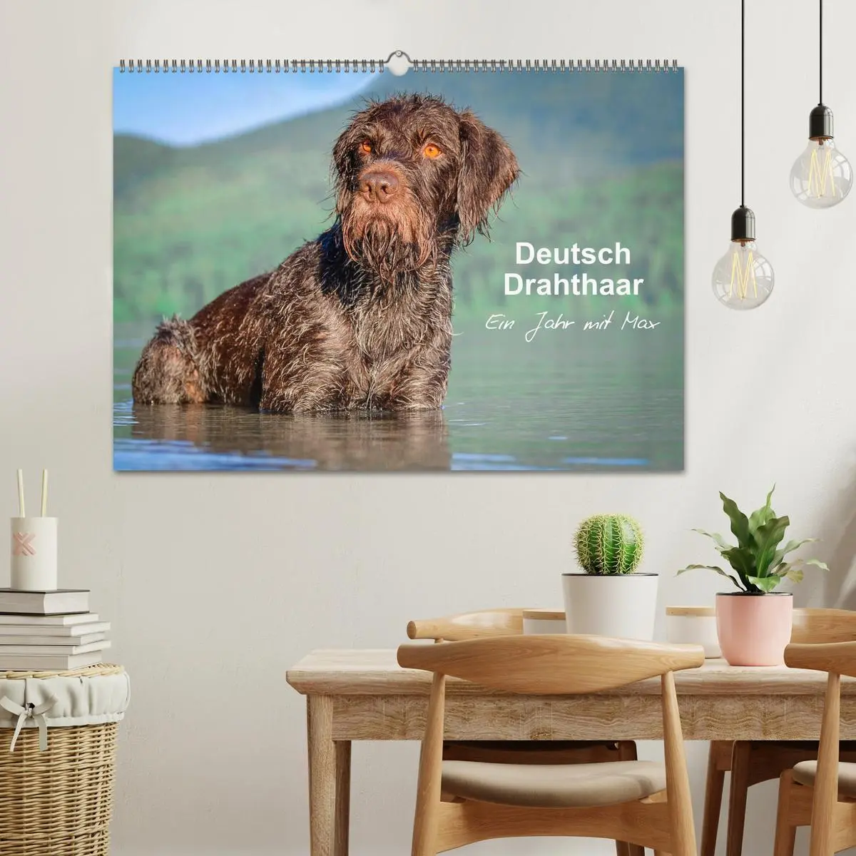 Bild: 9783457777190 | Deutsch Drahthaar - Ein Jahr mit Max (Wandkalender 2026 DIN A2...