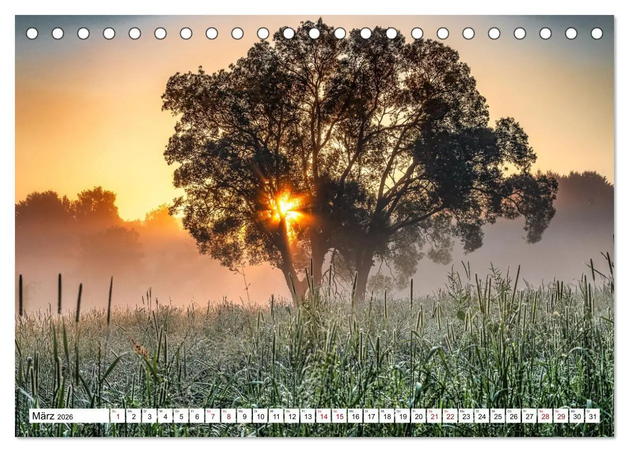 Bild: 9783457527290 | Schönes Erzgebirge (Tischkalender 2026 DIN A5 quer), CALVENDO...