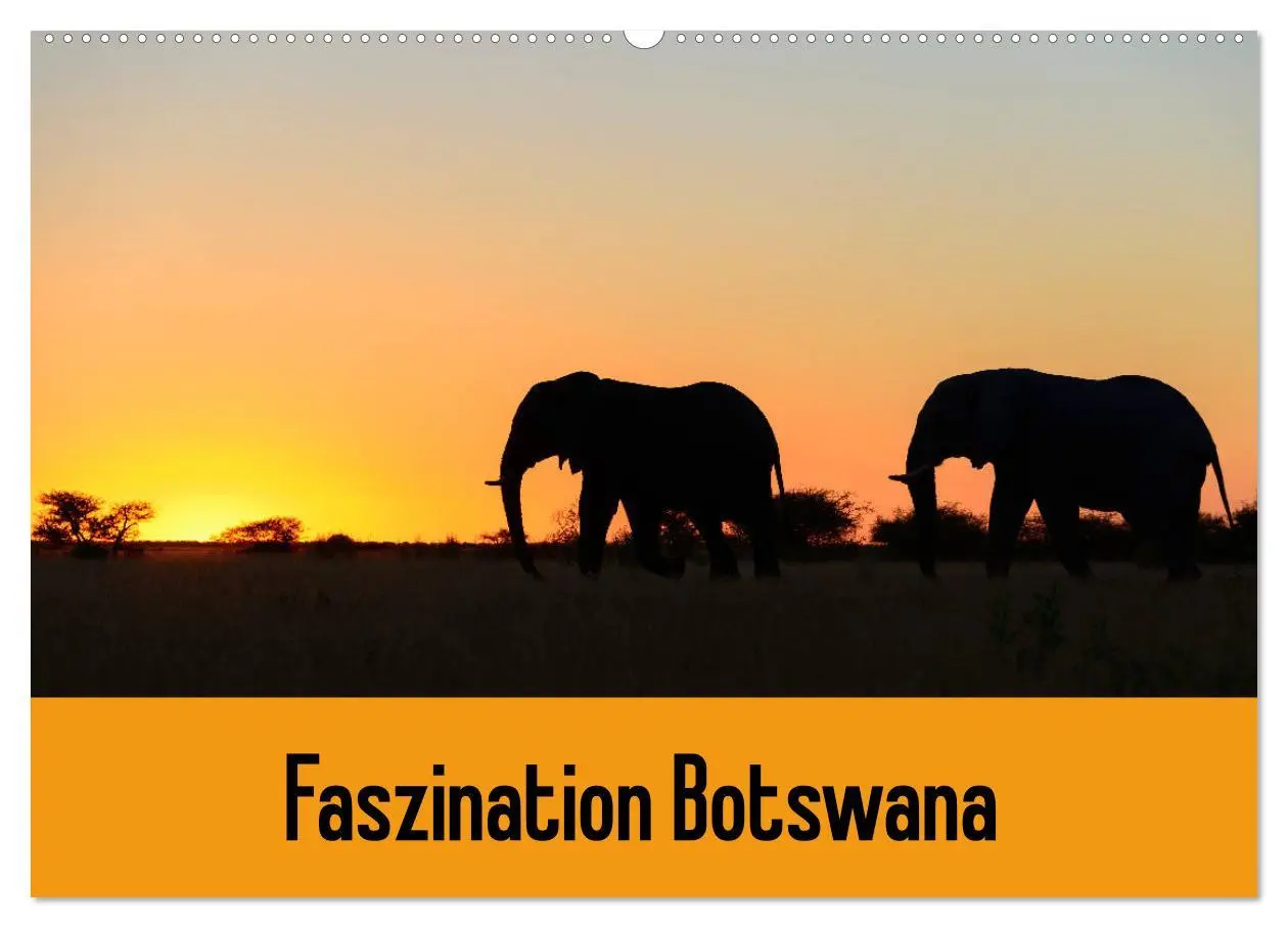 Cover: 9783457907290 | Faszination Botswana (Wandkalender 2026 DIN A2 quer), CALVENDO...