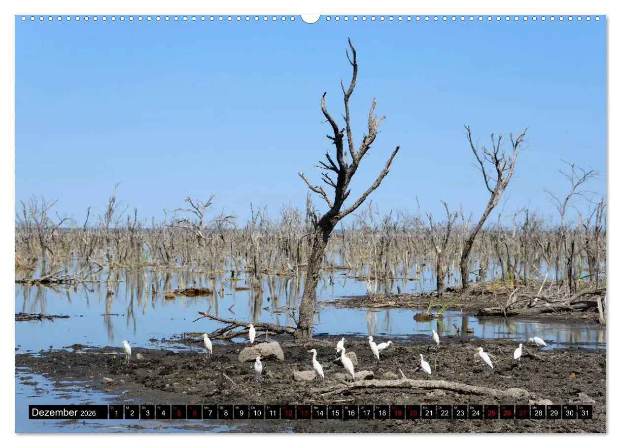Bild: 9783457907290 | Faszination Botswana (Wandkalender 2026 DIN A2 quer), CALVENDO...