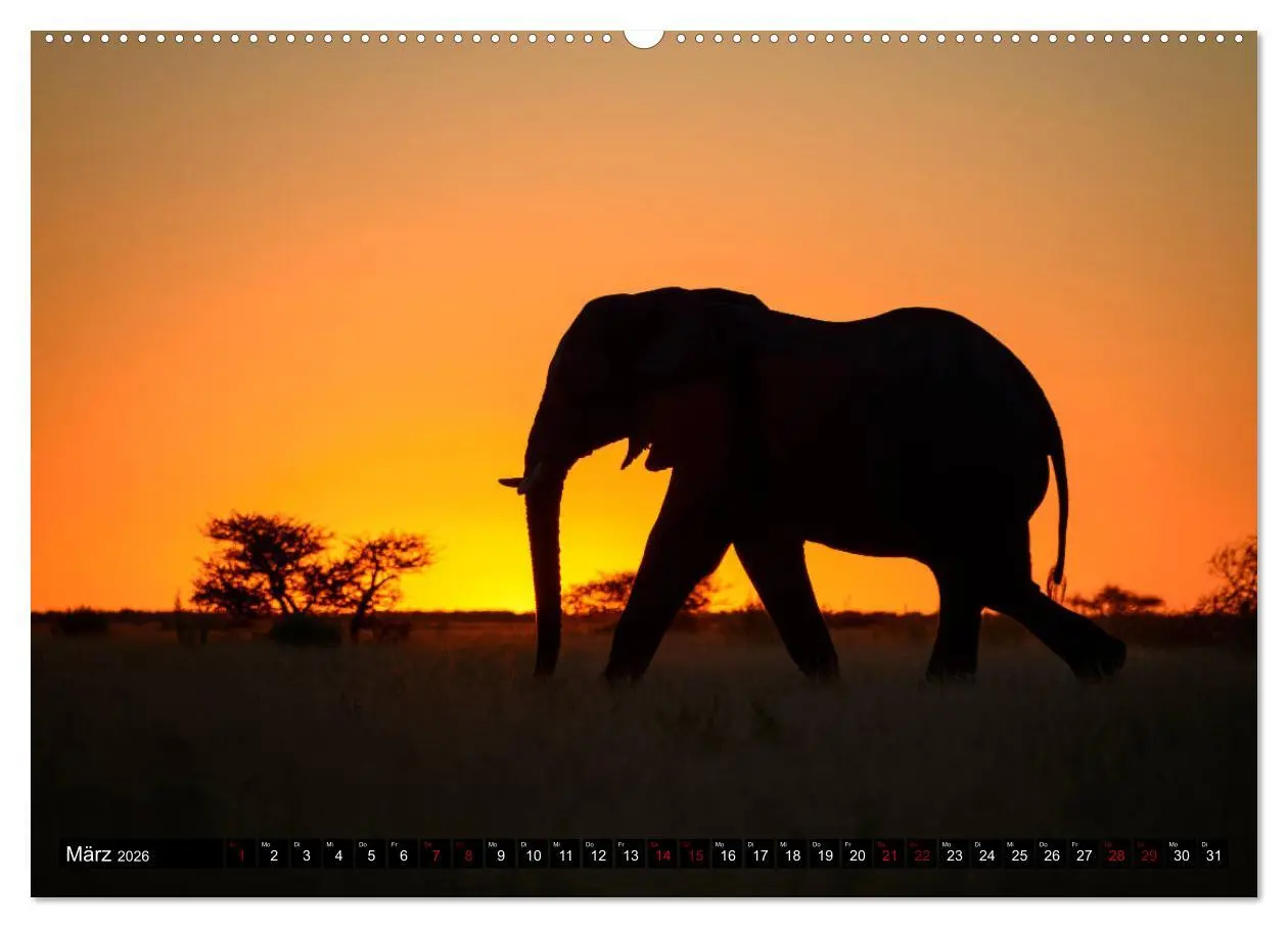 Bild: 9783457907290 | Faszination Botswana (Wandkalender 2026 DIN A2 quer), CALVENDO...