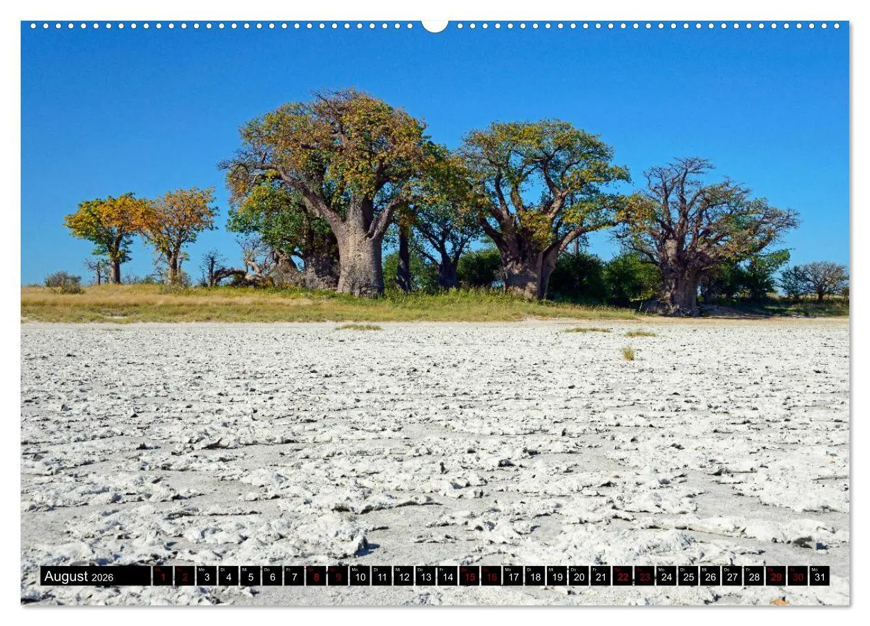 Bild: 9783457907290 | Faszination Botswana (Wandkalender 2026 DIN A2 quer), CALVENDO...
