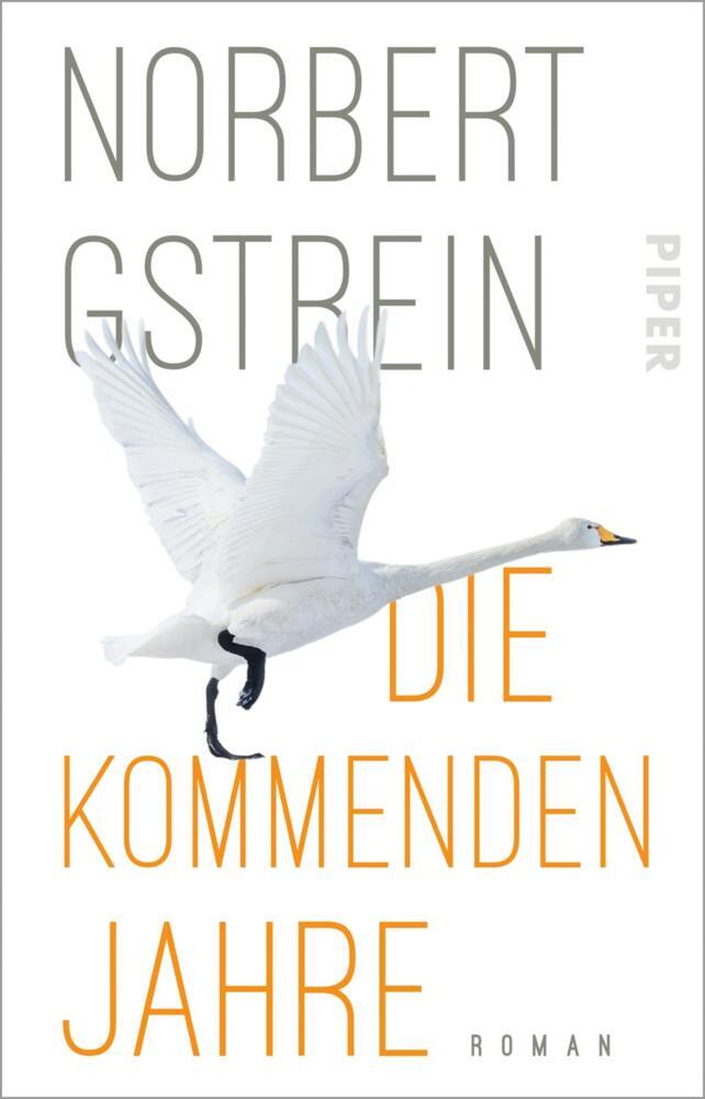 Cover: 9783492317290 | Die kommenden Jahre | Norbert Gstrein | Taschenbuch | 288 S. | Deutsch