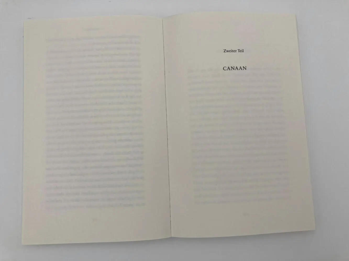 Bild: 9783492317290 | Die kommenden Jahre | Norbert Gstrein | Taschenbuch | 288 S. | Deutsch