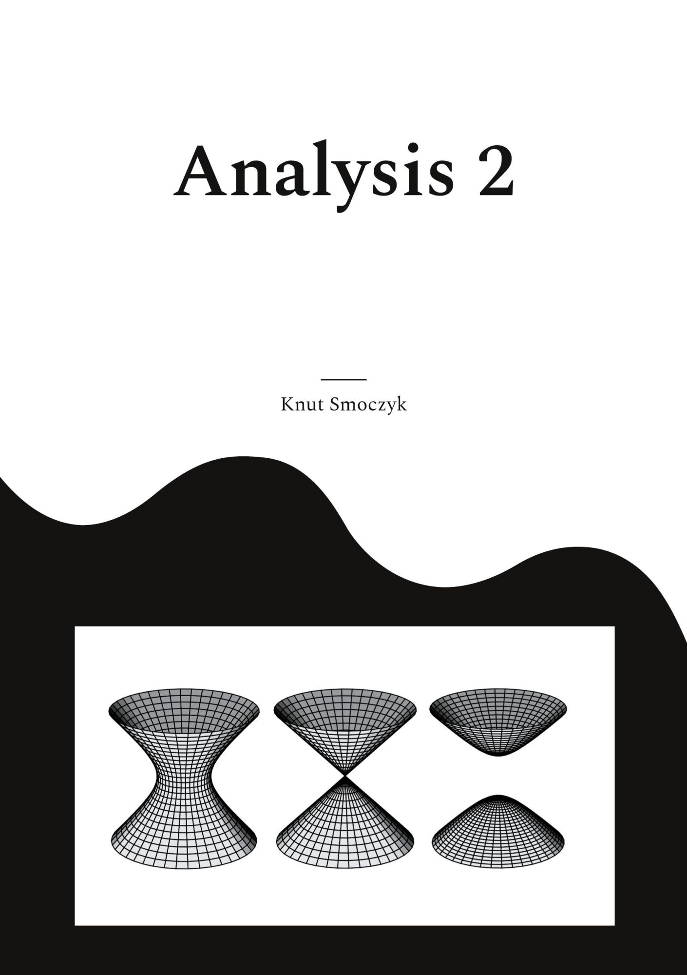 Cover: 9783819277290 | Analysis 2 | Differentialrechnung mehrerer Veränderlicher | Smoczyk