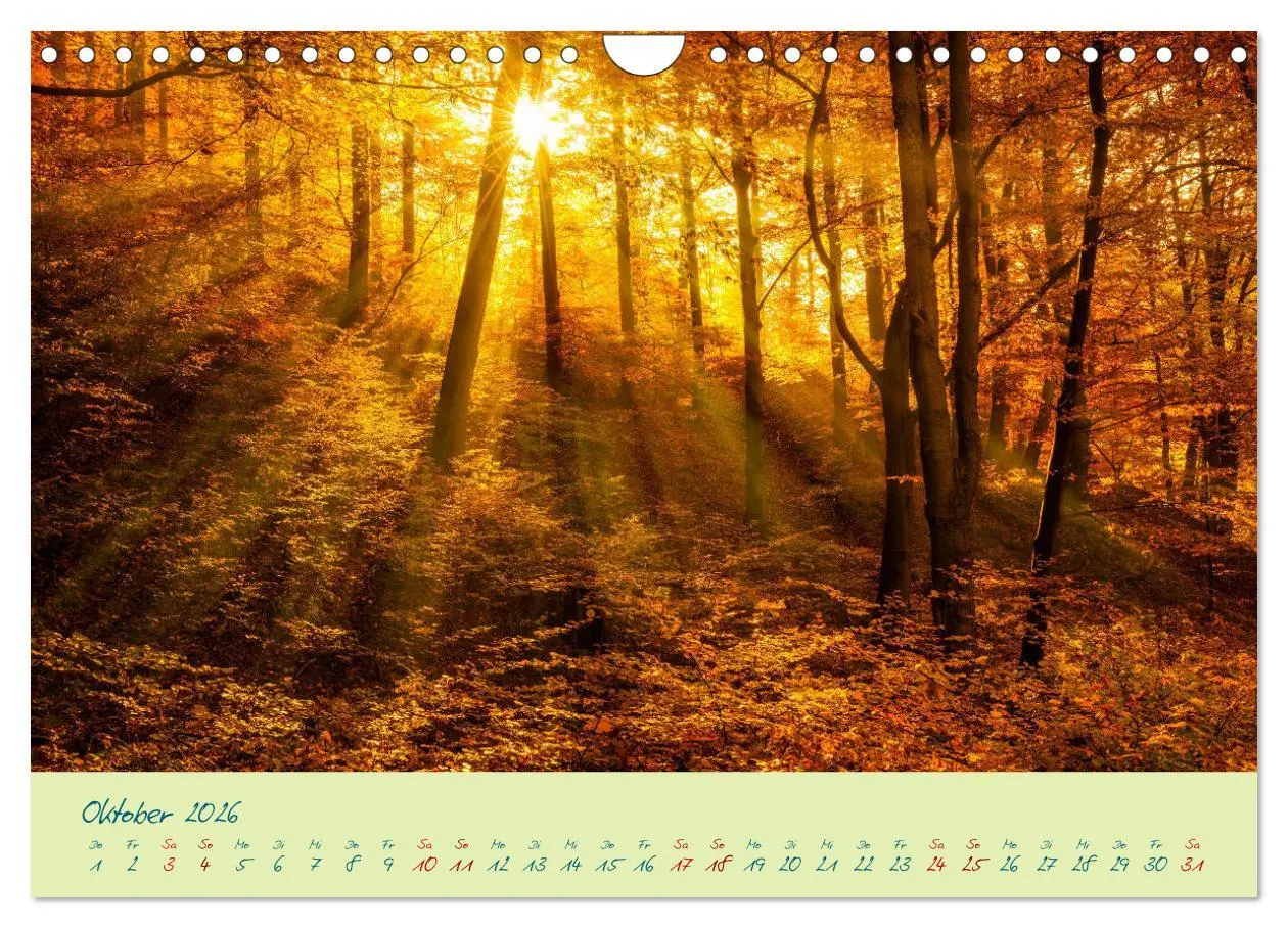 Bild: 9783457757390 | Harz Natur pur und Weltkulturerbe (Wandkalender 2026 DIN A4 quer),...