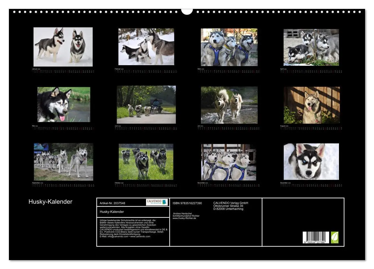 Bild: 9783516227390 | Husky-Kalender (Wandkalender 2026 DIN A2 quer), CALVENDO...