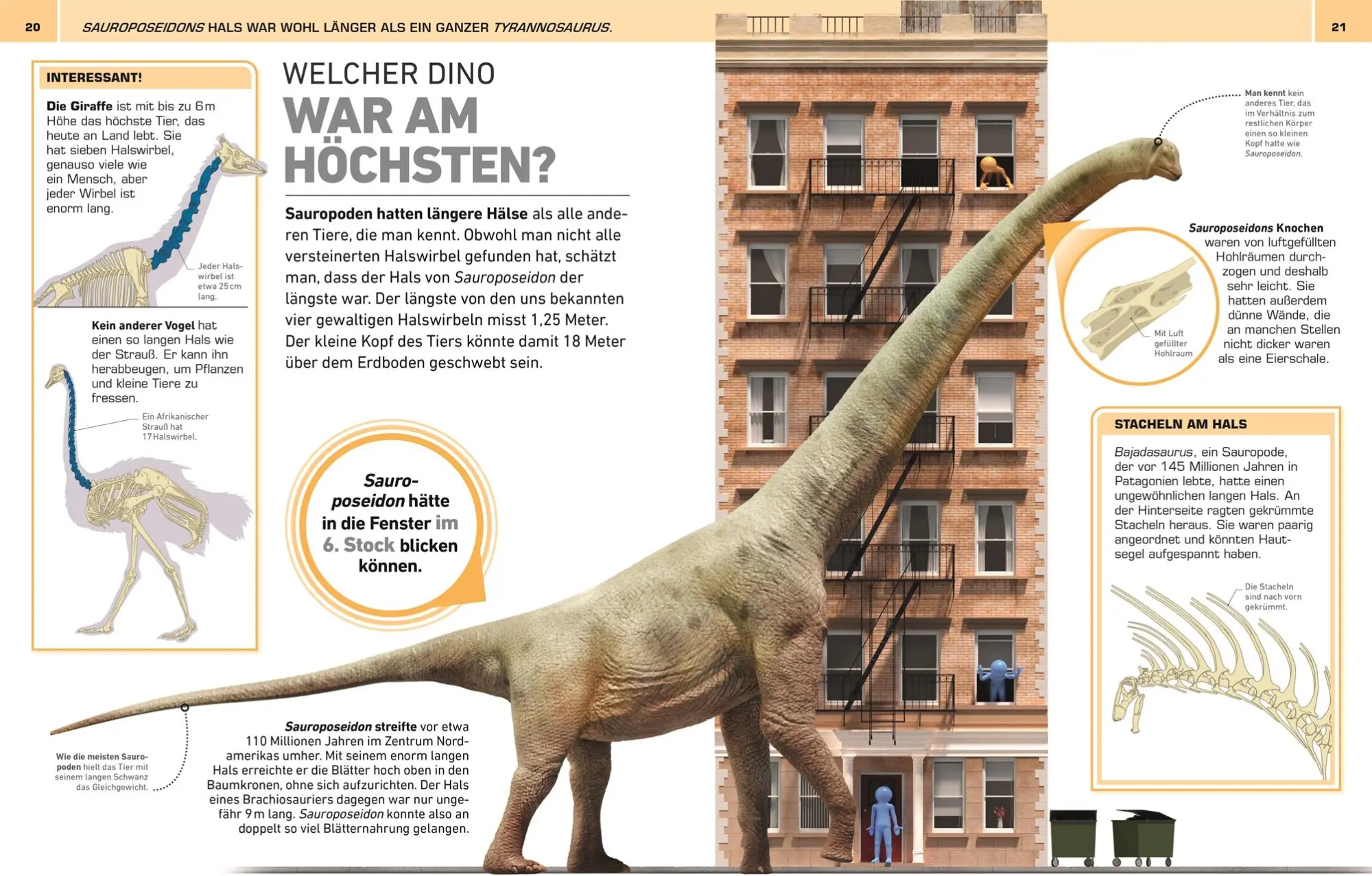 Bild: 9783831047390 | Total verrückt! Dinosaurier | Dean Lomax (u. a.) | Buch | 176 S.