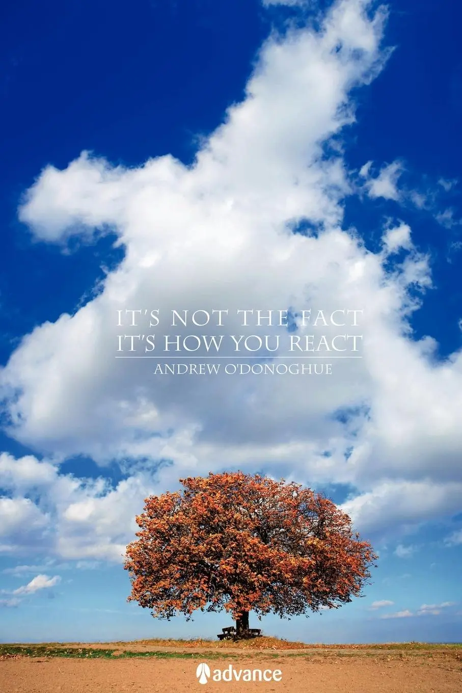 Cover: 9781434317490 | It's Not the Fact, It's How You React | Andrew O'Donoghue | Buch