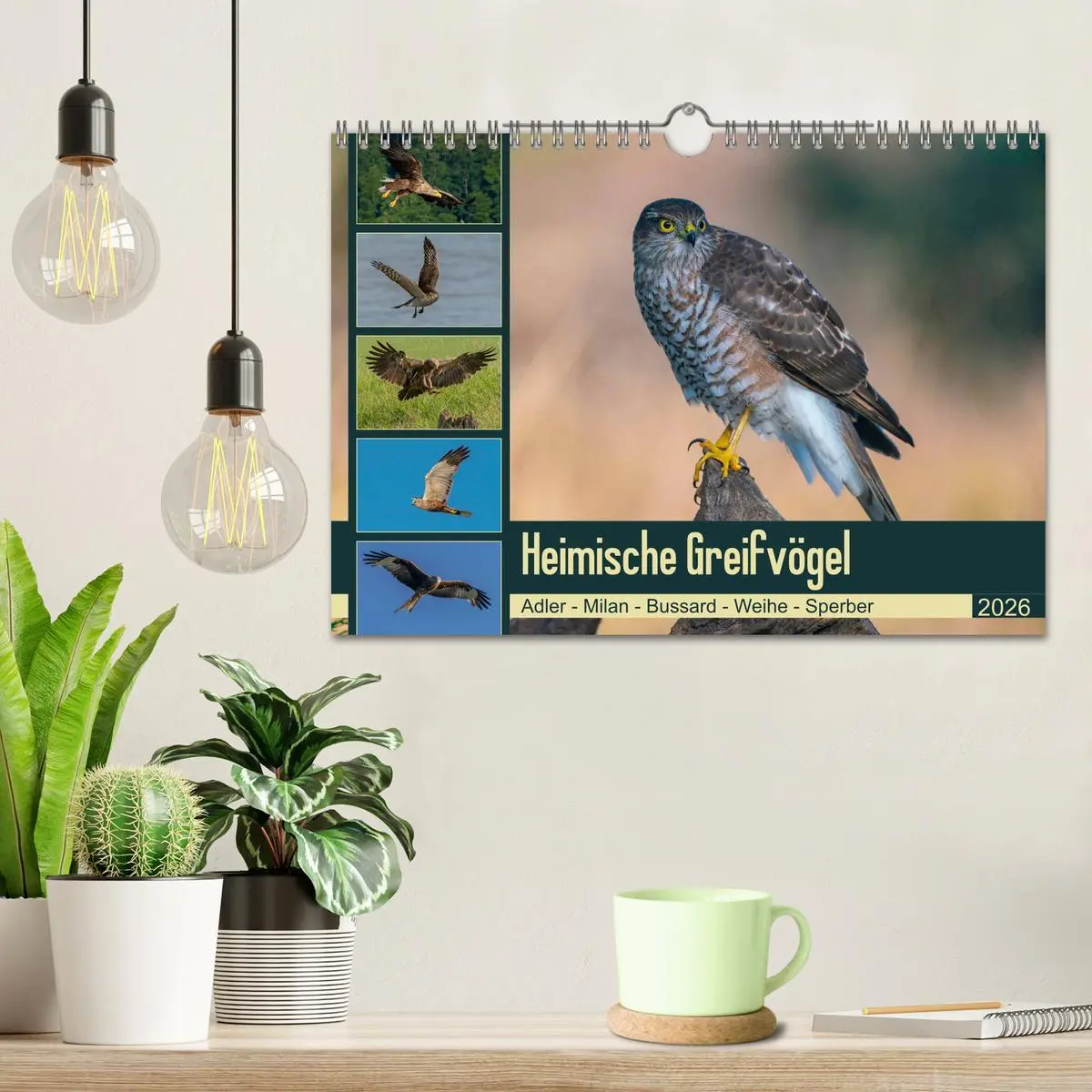 Bild: 9783457677490 | Heimische GREIFVÖGEL Adler Milan Bussard Weihe Sperber...