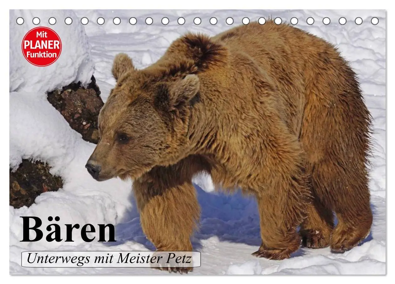 Cover: 9783457987490 | Bären. Unterwegs mit Meister Petz (Tischkalender 2026 DIN A5 quer),...