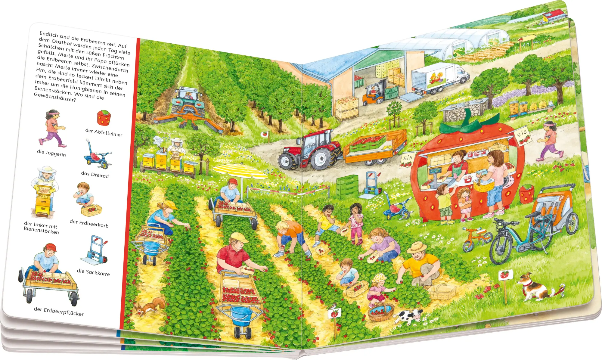 Bild: 9783473417490 | Sachen suchen - Mein großes Sachen suchen: Unser Bauernhof | Buch