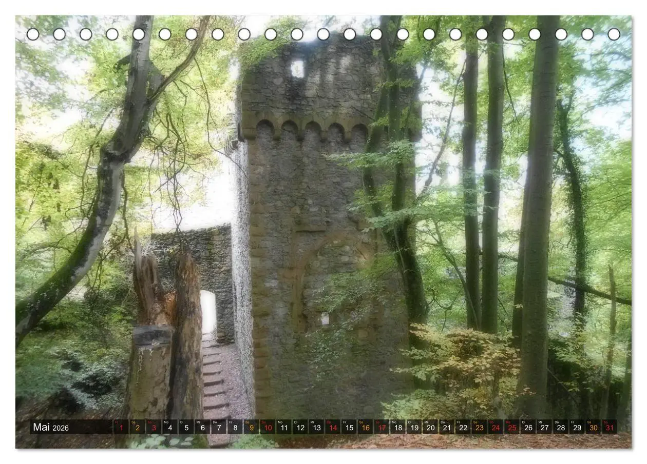 Bild: 9783516147490 | Burgen &amp; Schlösser im Odenwald (Tischkalender 2026 DIN A5 quer),...