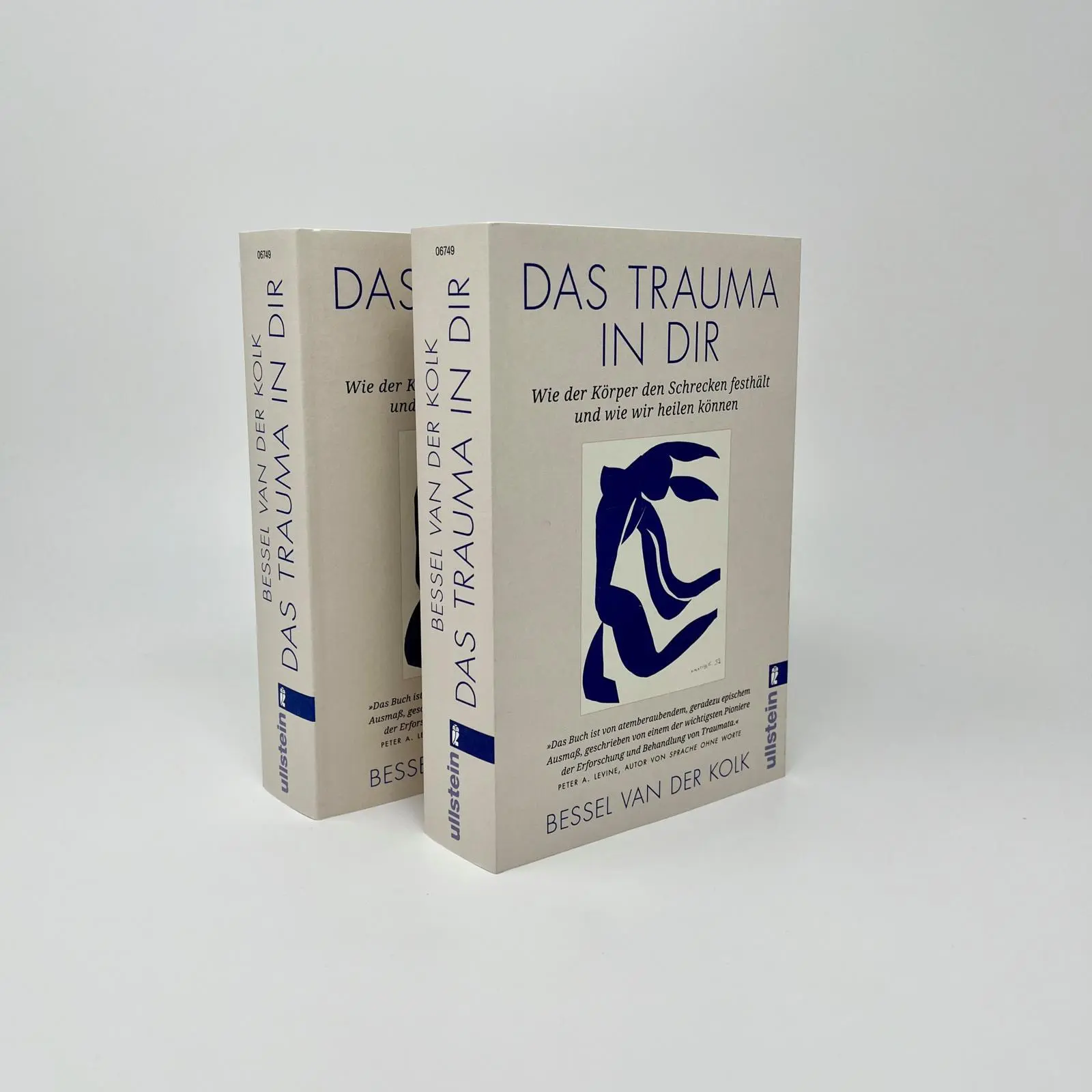 Bild: 9783548067490 | Das Trauma in dir | Bessel van der Kolk | Taschenbuch | 656 S. | 2023
