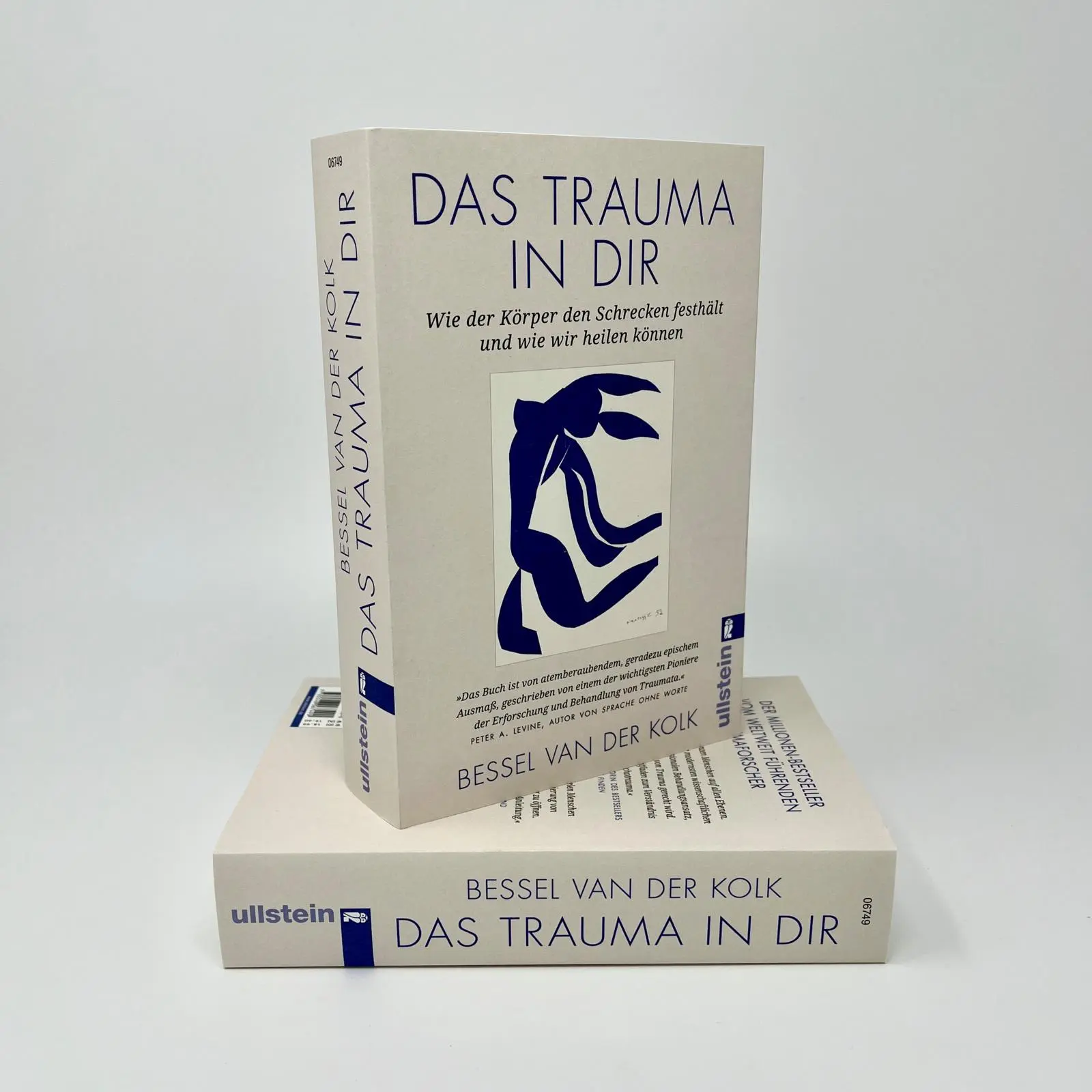 Bild: 9783548067490 | Das Trauma in dir | Bessel van der Kolk | Taschenbuch | 656 S. | 2023