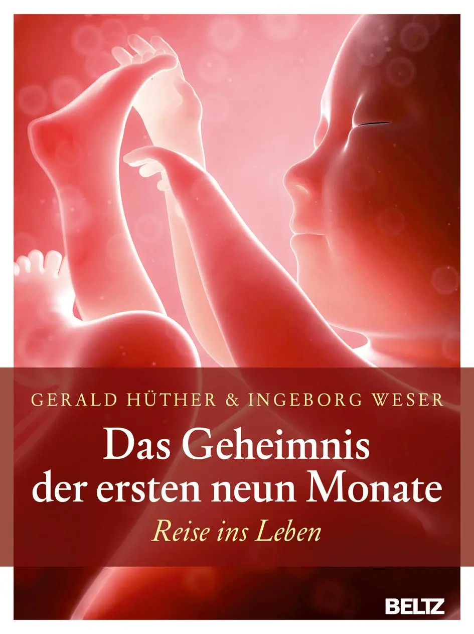Cover: 9783407857590 | Das Geheimnis der ersten neun Monate | Reise ins Leben | Buch | 247 S.