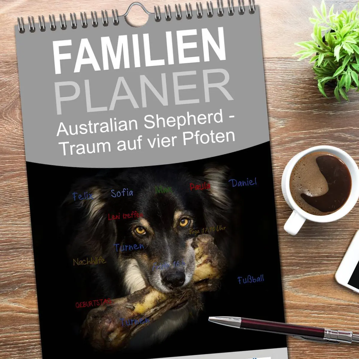 Bild: 9783516517590 | Familienplaner 2026 - Australian Shepherd - Traum auf vier Pfoten...