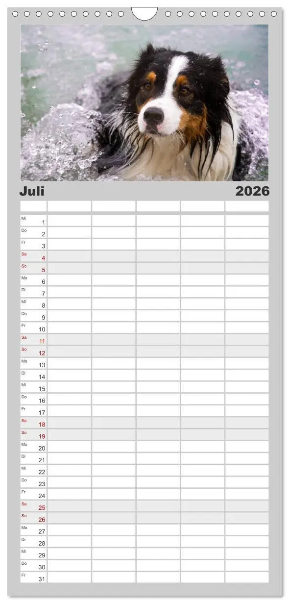 Bild: 9783516517590 | Familienplaner 2026 - Australian Shepherd - Traum auf vier Pfoten...