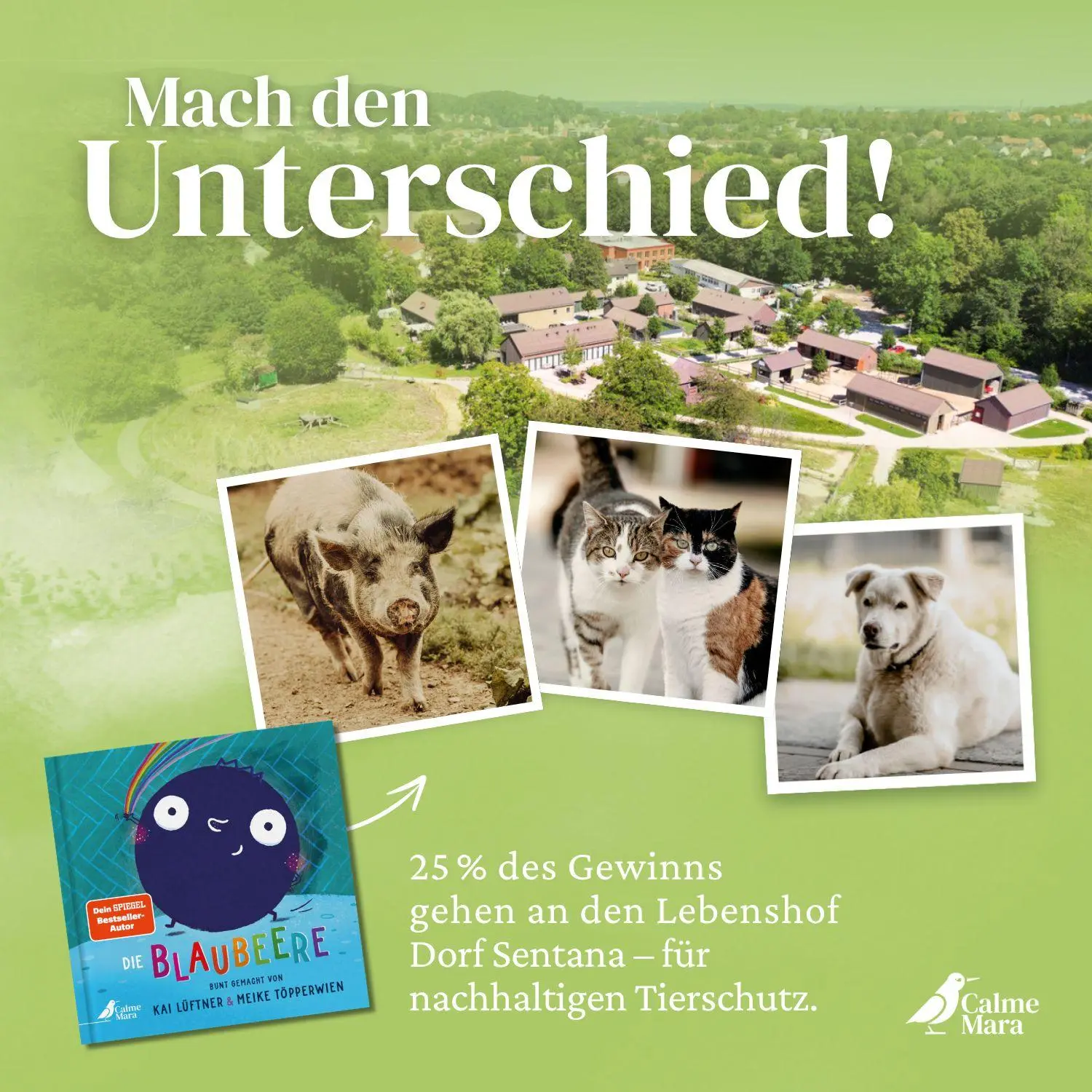 Bild: 9783948877590 | Die Blaubeere | Kai Lüftner | Buch | 36 S. | Deutsch | 2024