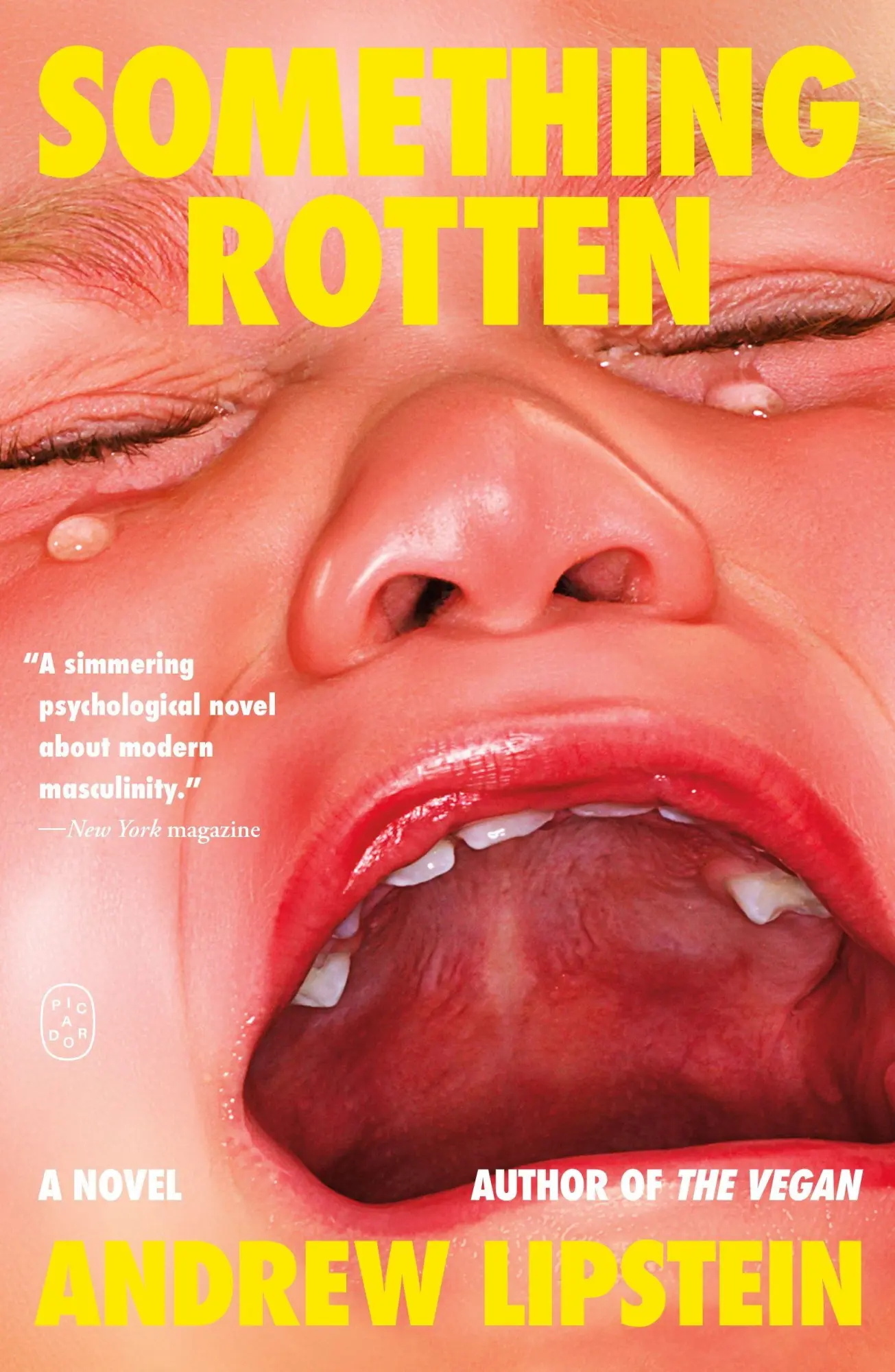 Cover: 9781250397690 | Something Rotten | Andrew Lipstein | Taschenbuch | Picador | Englisch