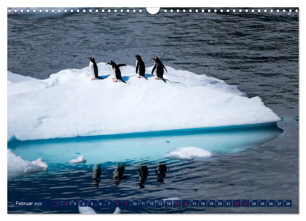 Bild: 9783435257690 | Antarktis Gletscher, Robben, Pinguine (Wandkalender 2025 DIN A3...