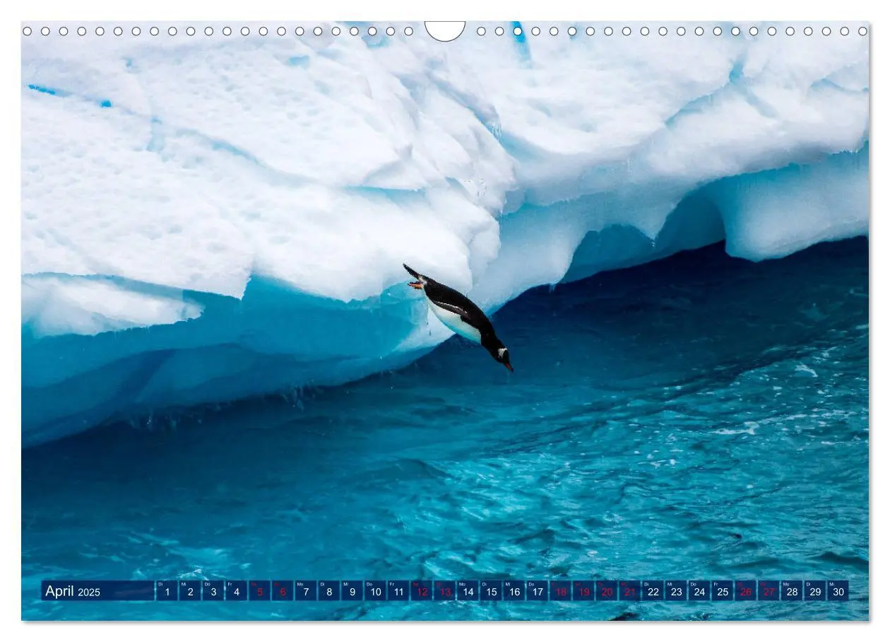 Bild: 9783435257690 | Antarktis Gletscher, Robben, Pinguine (Wandkalender 2025 DIN A3...