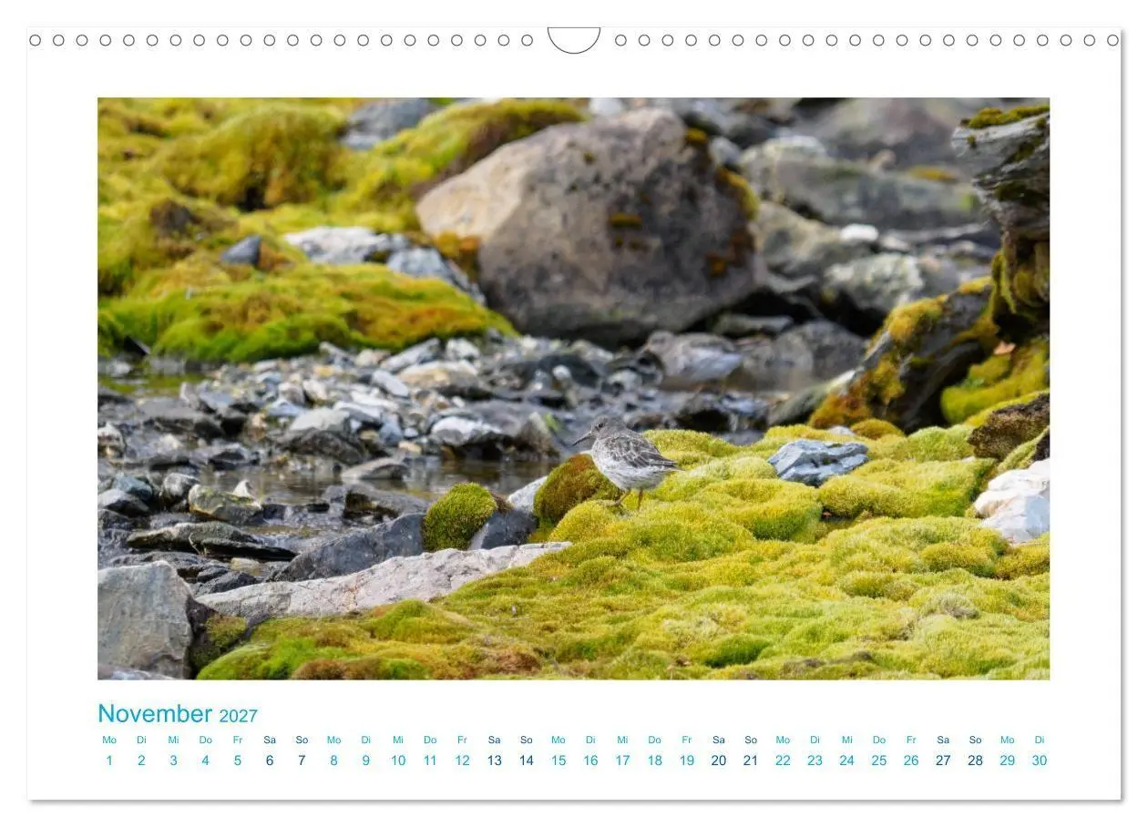 Bild: 9783569767690 | Spitzbergen - Landschaft - Eis - Tierwelt (Wandkalender 2027 DIN A3...