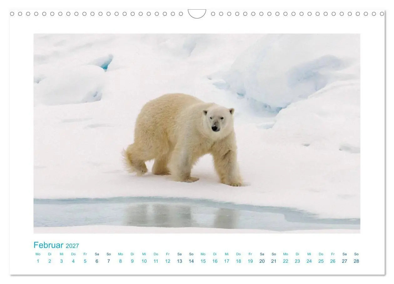 Bild: 9783569767690 | Spitzbergen - Landschaft - Eis - Tierwelt (Wandkalender 2027 DIN A3...