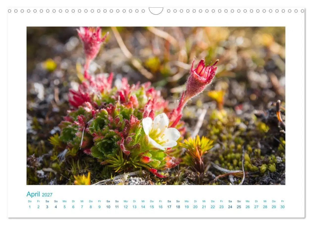 Bild: 9783569767690 | Spitzbergen - Landschaft - Eis - Tierwelt (Wandkalender 2027 DIN A3...